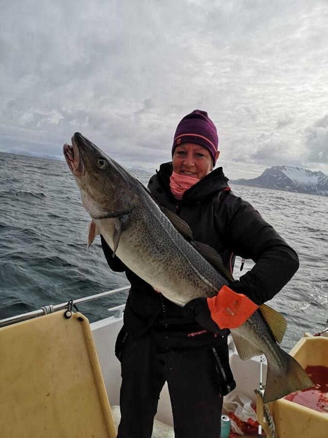 فيلا Rigmorhuset Fjordgard المظهر الخارجي الصورة